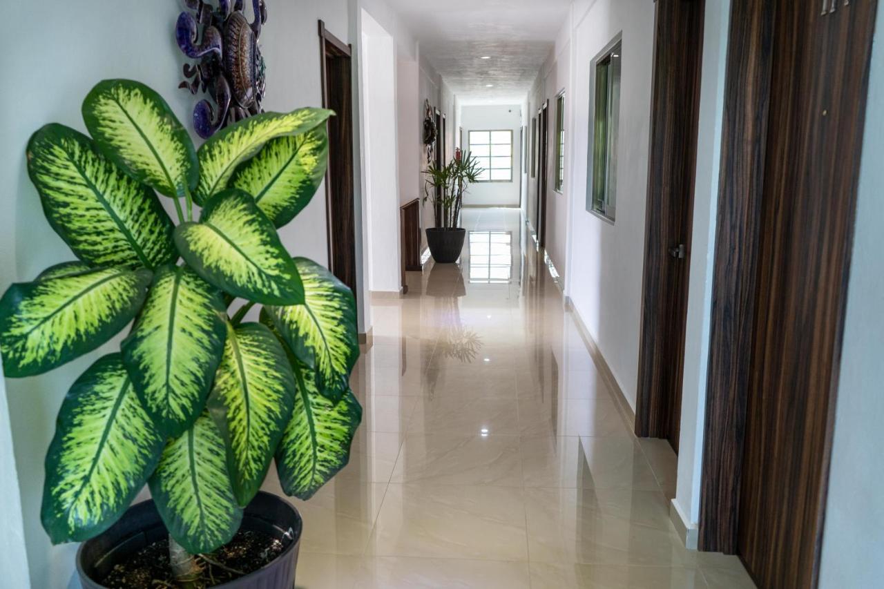 אשפלוכיל Hotel Casa Maran מראה חיצוני תמונה